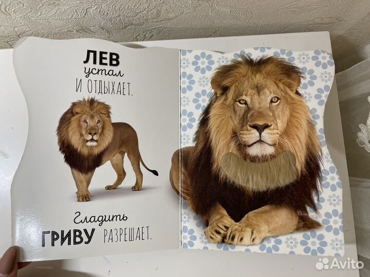 Детская книга с животными