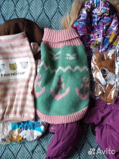 Одежда и обувь для собак