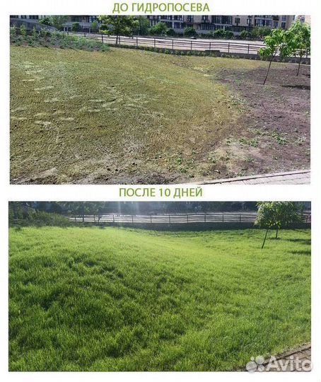Гидропосев газона