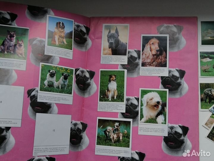 Альбом для наклеек С любовью к животным Panini