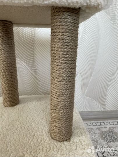 Когтеточка