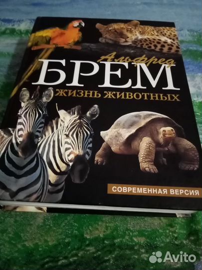Альфред Брем Жизнь животных
