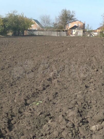 Участок 33 сот. (СНТ, ДНП)