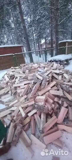 Дрова колотые березовые