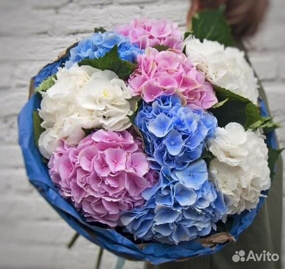 Букет из гортензии с доставкой Динская