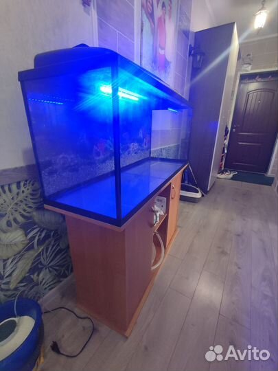 Аквариум 240 литров
