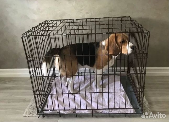 Клетки и вольеры для животных в Саратове в наличии
