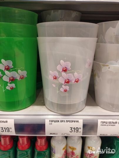 Белая орхидея