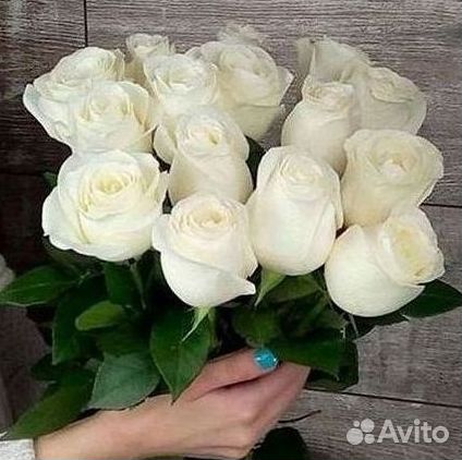 Метровые розы