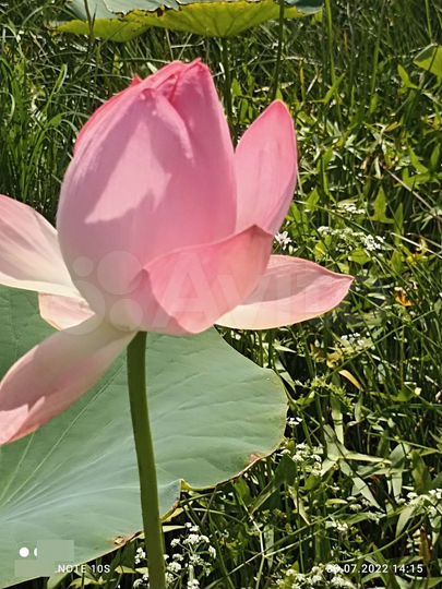 Дом 40 м² на участке 6 сот.