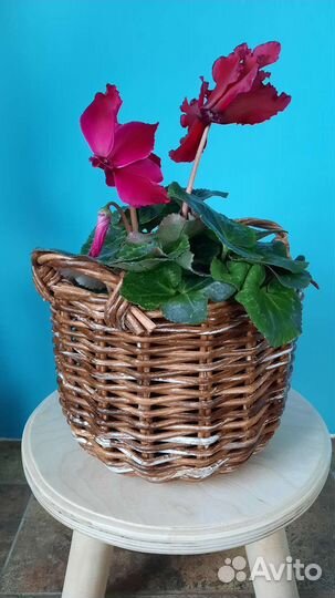 Корзина плетеная