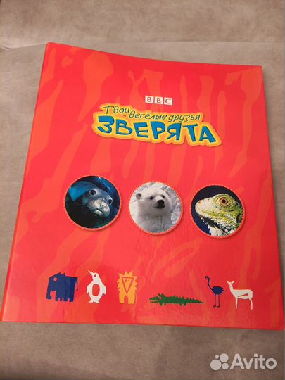 Твои веселые друзья зверята