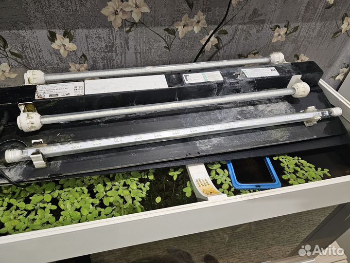 Немецкий аквариум juwel RIO 125 LED б/у