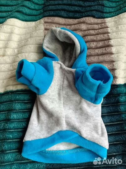 Одежда для животных