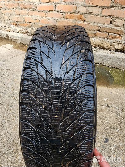 Nokian Tyres Hakkapeliitta R2 195/65 R15