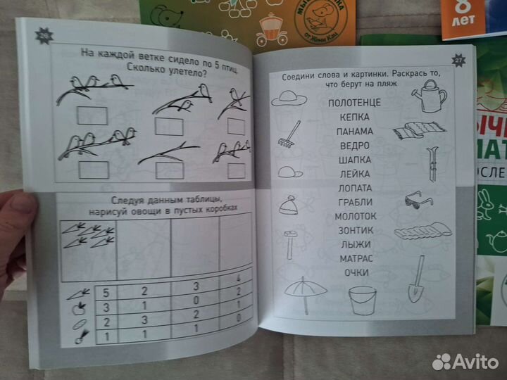 Необычная математика Женя Кац