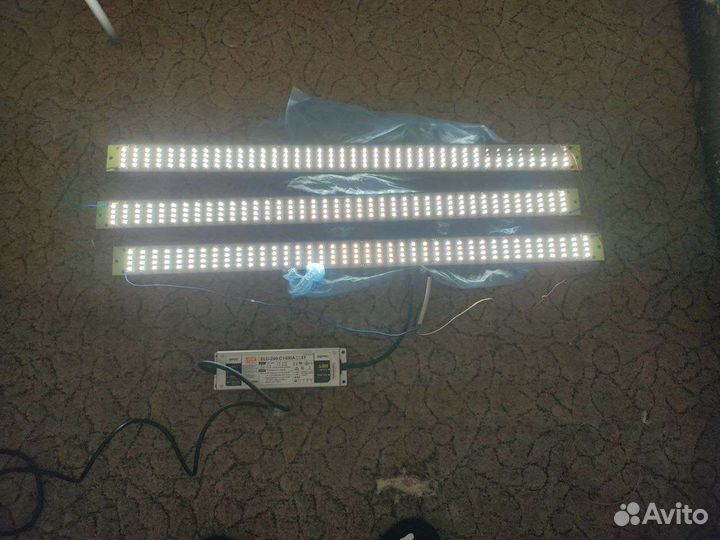 Quantum bar kingbrite 240w
