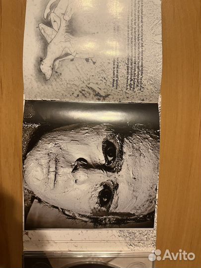 Собаки Табака - Найду, убью