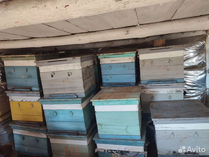 Улей для пчел бу