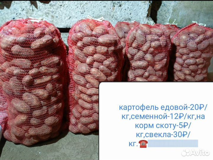 Картофель