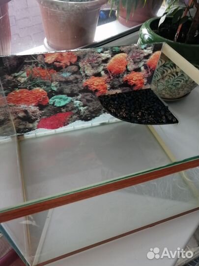 Террариум для черепахи