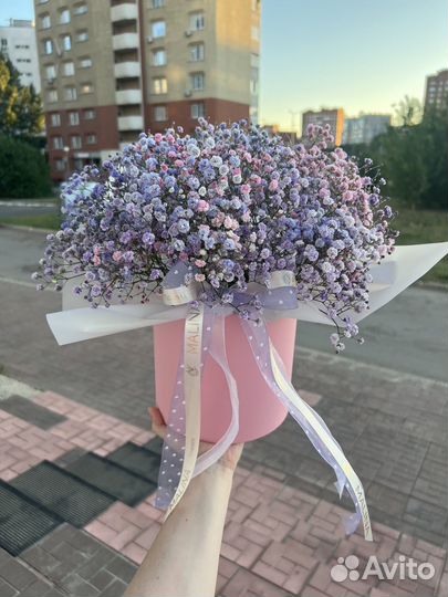 Гипсофила букет цветы