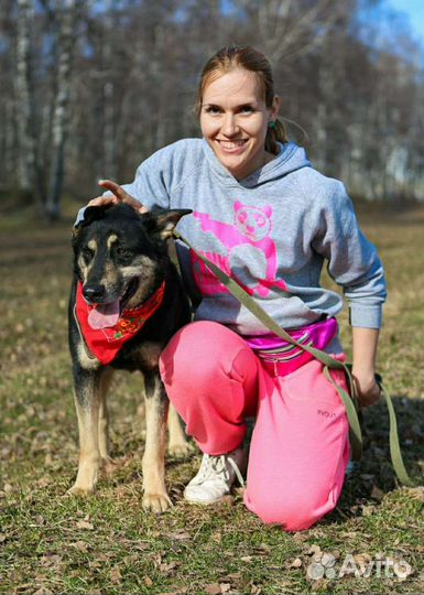 Макс. Собака-компаньон. Очень нуждается в человеке