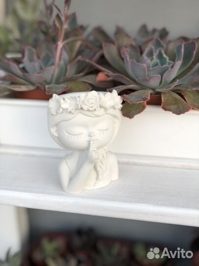 Кашпо для суккулентов, подарок