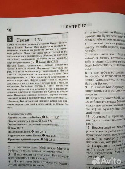 Библия с тематическими комментариями 