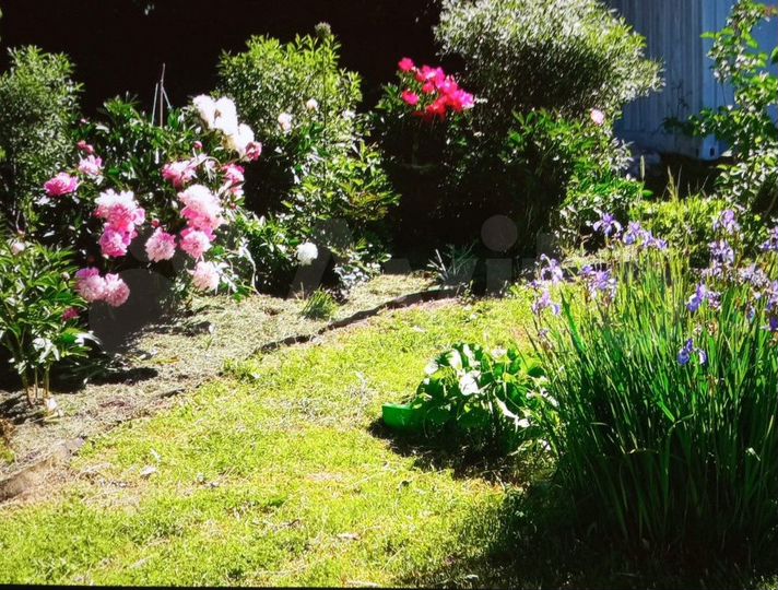 Коттедж 113,7 м² на участке 9,3 сот.