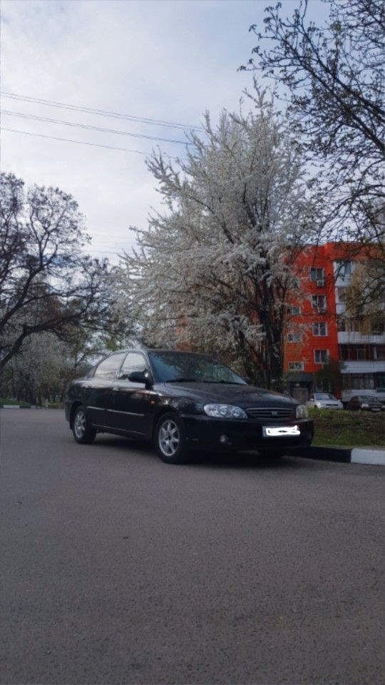 Kia Spectra: фото владельца
