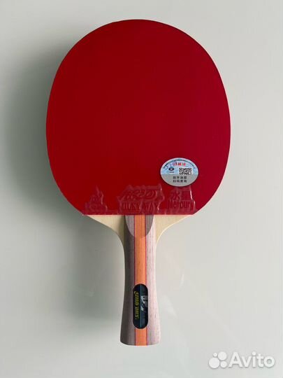 Сборная ракетка DHS W3010