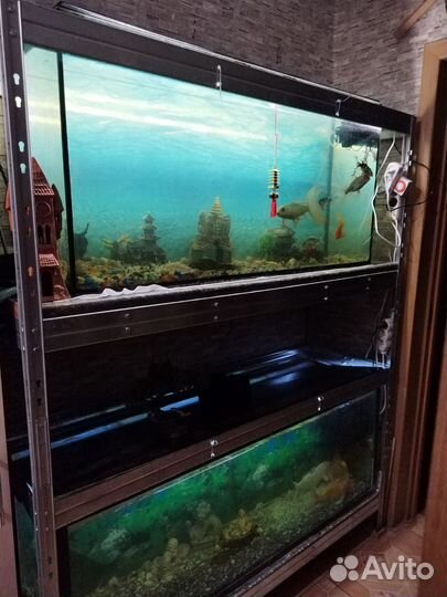 Аквариумы от 300 литров