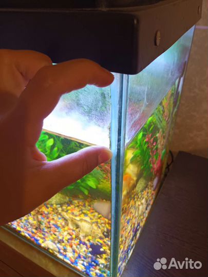 Аквариум с рыбками