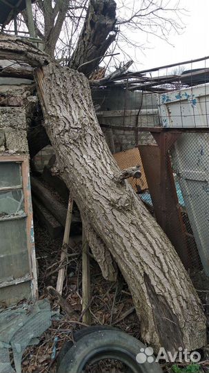 Дрова для шашлыка