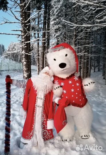 Аэромедведь костюм медведя