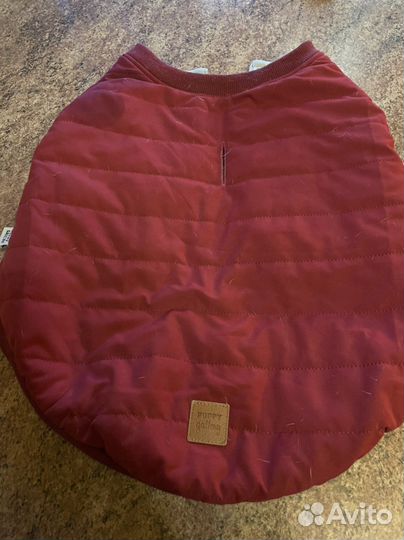 Жилетка для средних собак