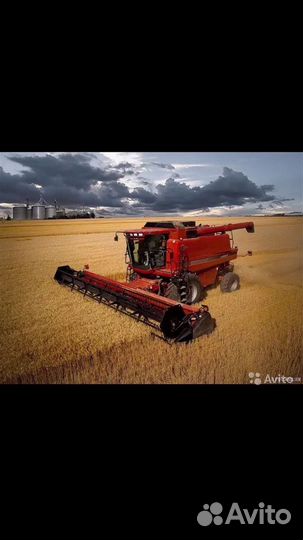 Уборка урожая