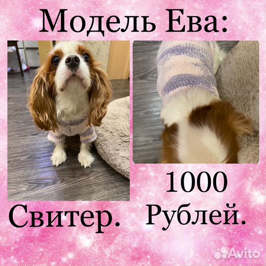 Вязаная одежда для собак