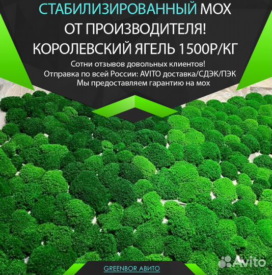 Стабилизированный мох ягель кочками