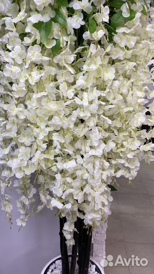 Декоративное дерево