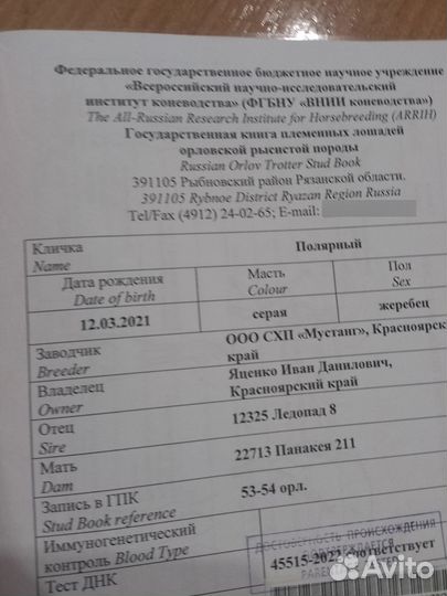Продам жеребца