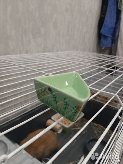 Фарфоровая поилка для грызуна