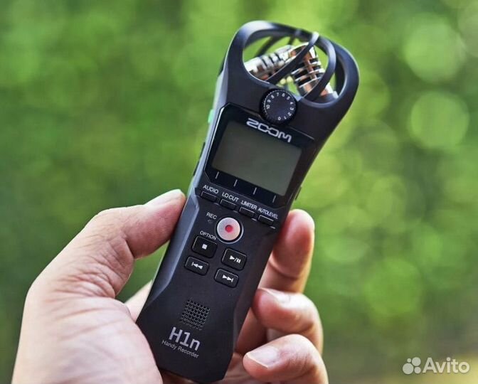 Zoom h1n