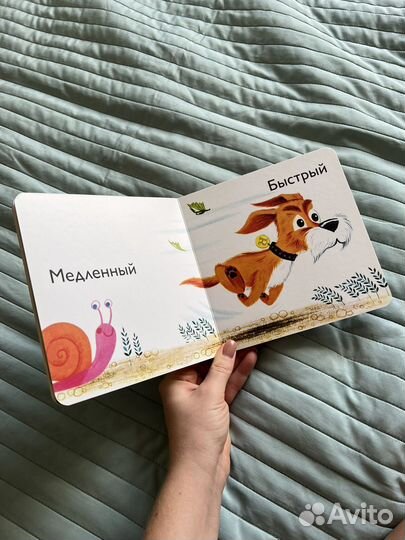 Детская книга «сравнение«