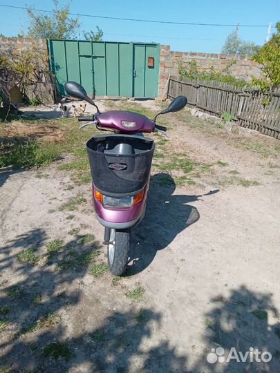 Honda Cesta 34