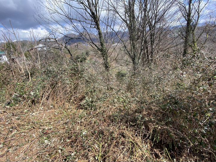 Участок 7,1 сот. (ИЖС)