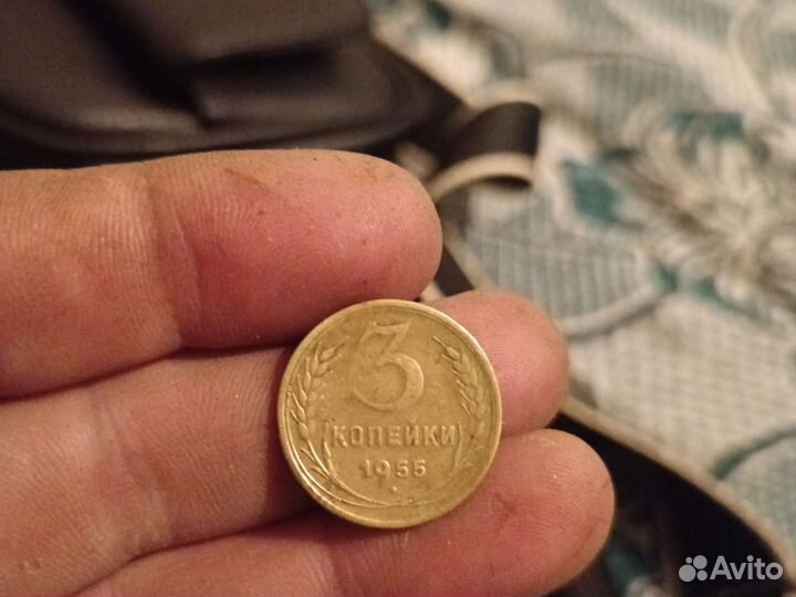 3 капкейки 1955 г