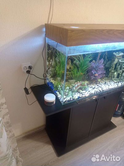 Аквариум с тумбой бу