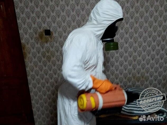 Уничтожение клопов тараканов дезинфекция плесени